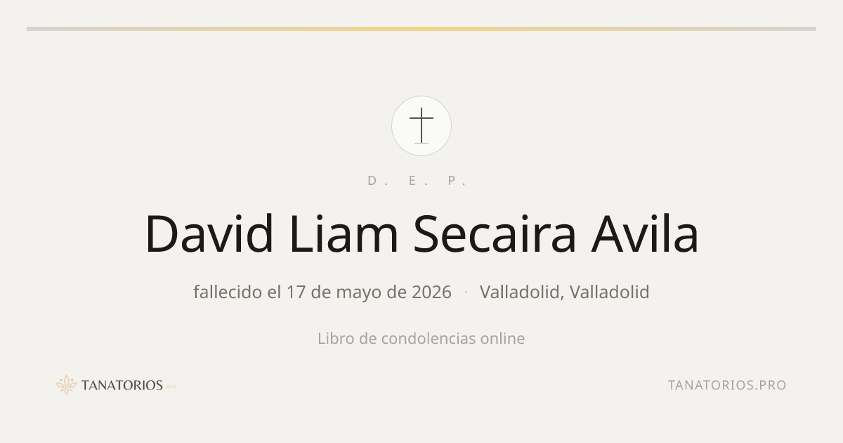 Memorial de David Liam Secaira Avila
