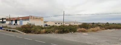 Imagen AdiosMascota Alicante