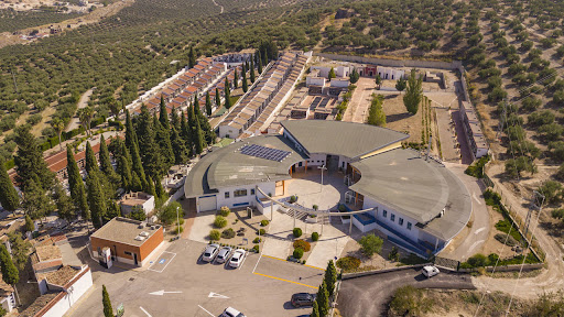 Imagen Cementerio de Martos