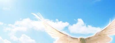 Imagen Funeraria la Merced