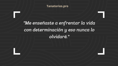 Frases para despedir a un padre fallecido25 - tanatorios.pro