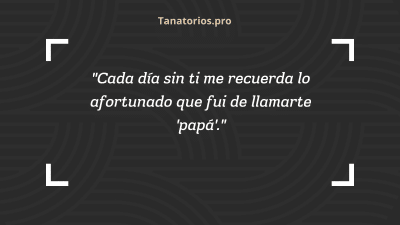 Frases para despedir a un padre fallecido35 - tanatorios.pro