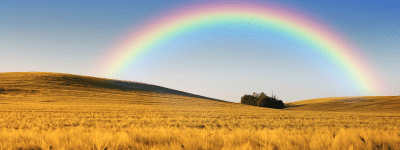 frases perdida hijo - tanatorios.pro